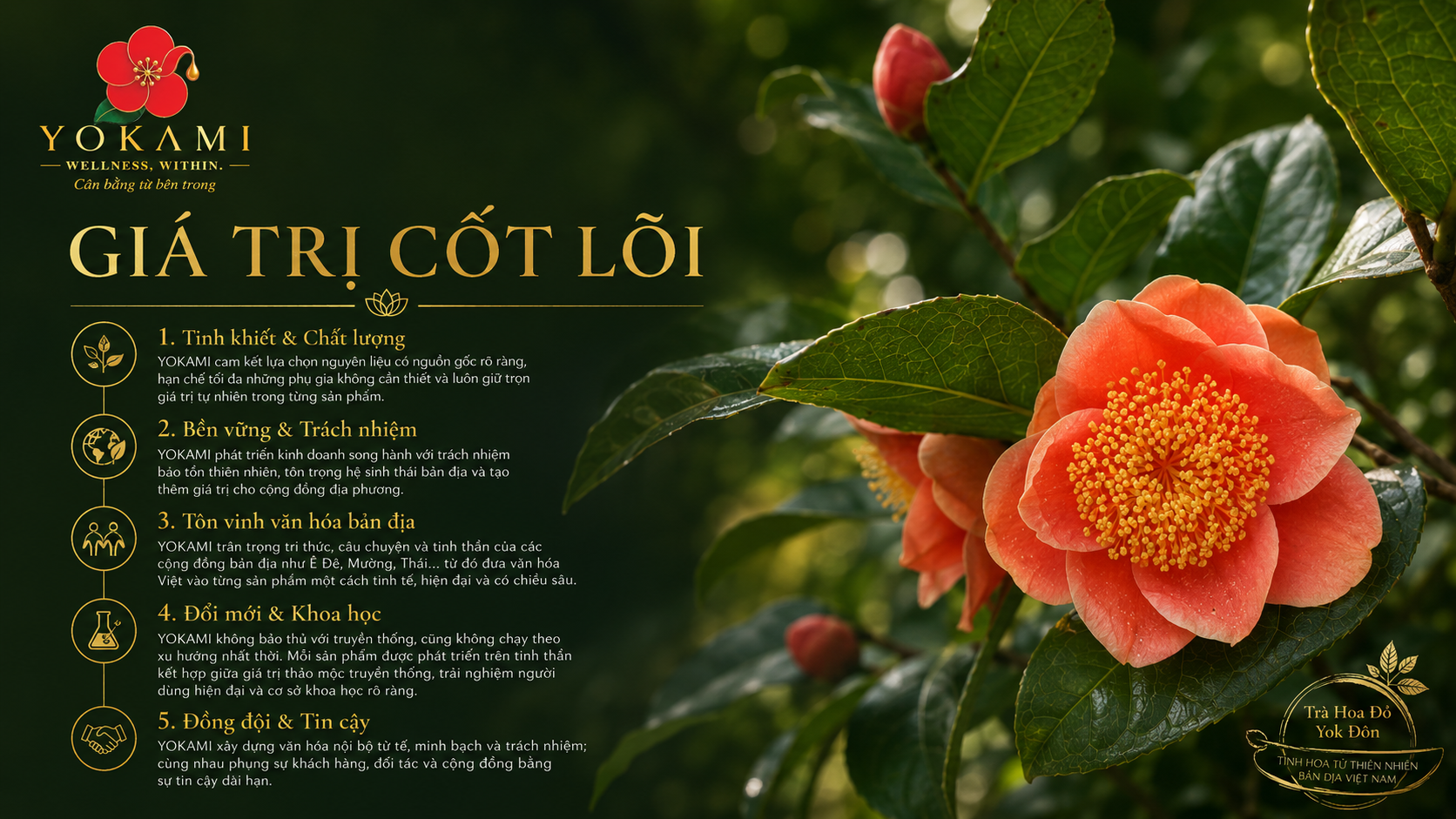 Giá trị cốt lõi YOKAMI