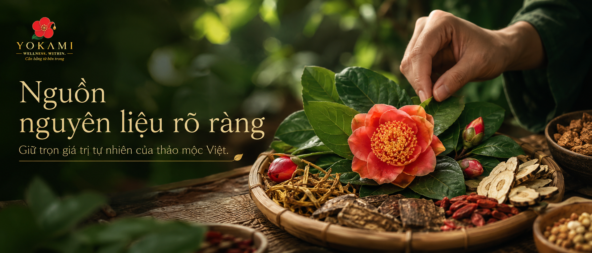 Nguồn nguyên liệu rõ ràng