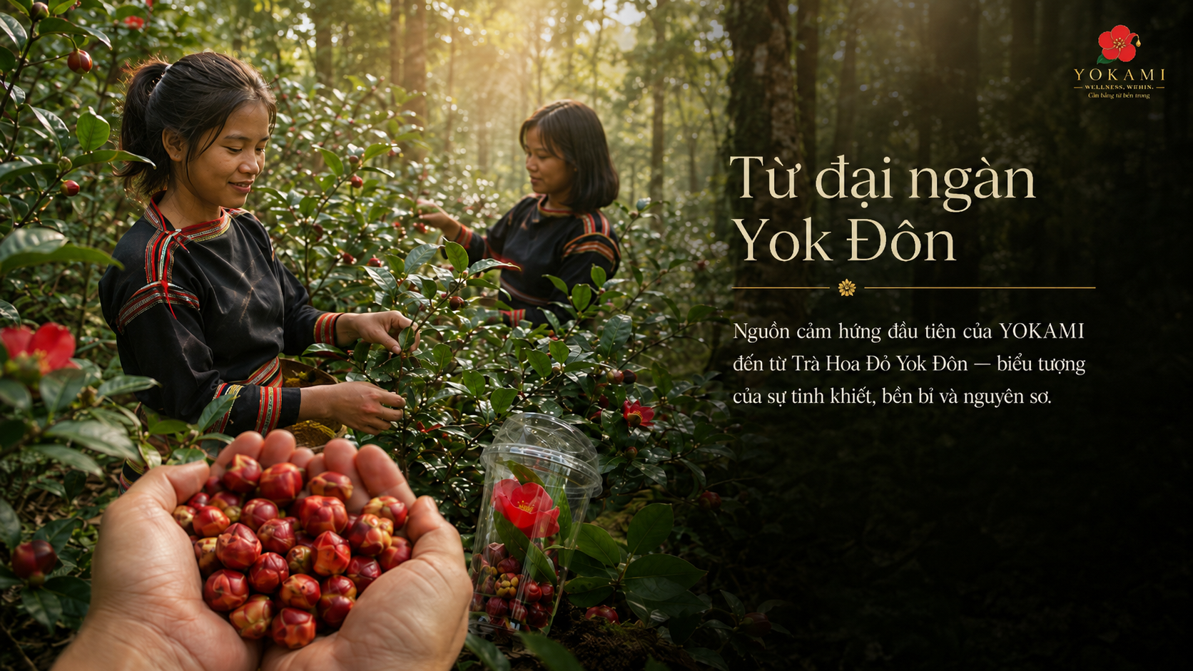 Câu chuyện thiên nhiên Việt Nam