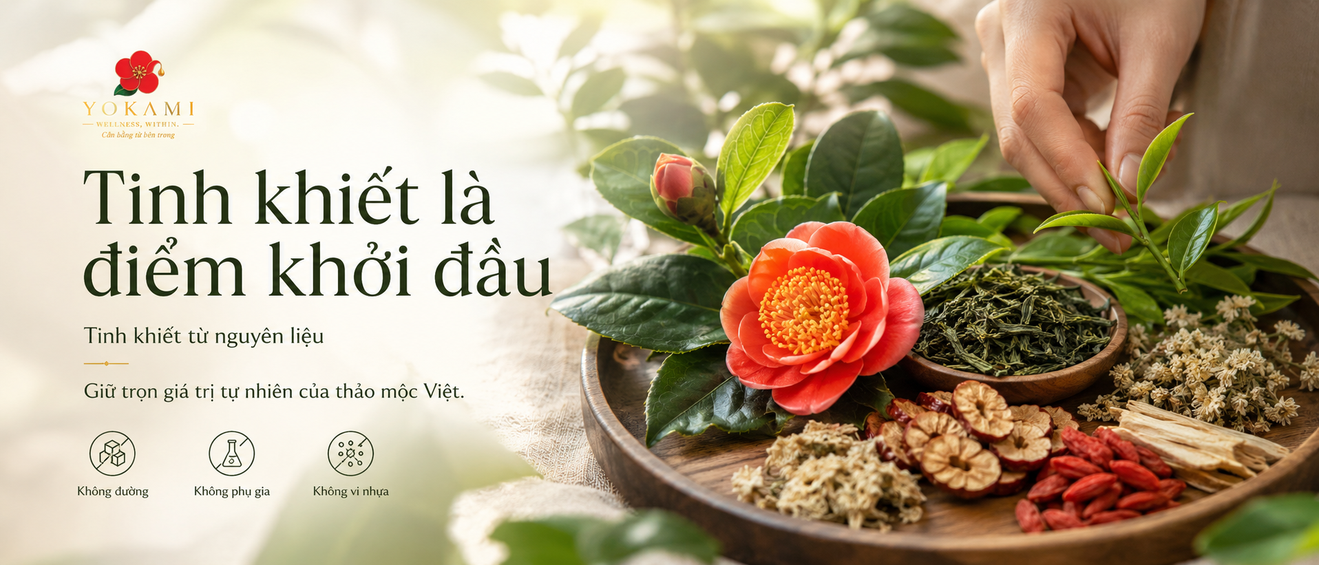 Tinh khiết là điểm khởi đầu