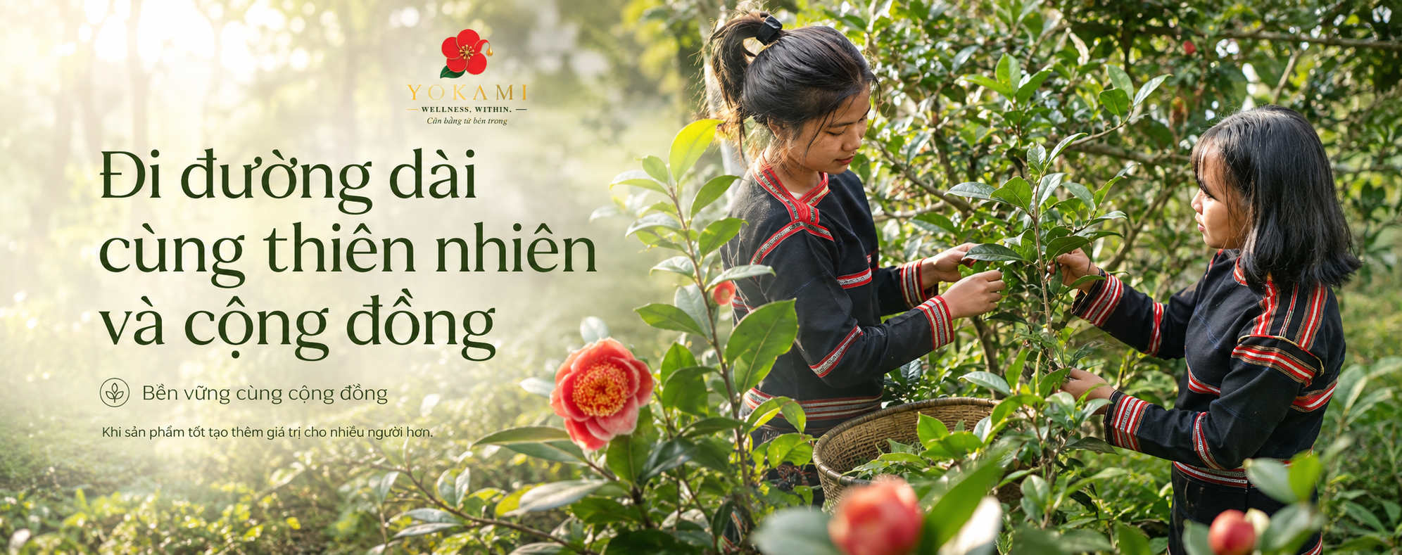 Bền vững YOKAMI