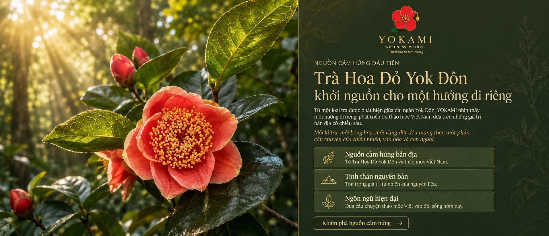 Sức sống từ đại ngàn Yok Đôn